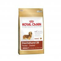 Royal Canin Dachshund Teckel Adulto Royal Canin Dachshund Teckel Adulto