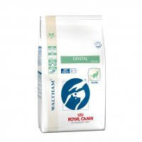 Royal Canin Dental DSO Feline Royal Canin Dental DSO Feline