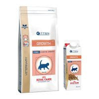 Royal Canin Growth Feline Royal Canin Growth Feline