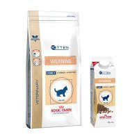 Royal Canin Weaning Feline Royal Canin Weaning Feline