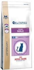 Royal Canin Young Male Feline Royal Canin Young Male Feline